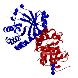 Image of CATH 4pmo