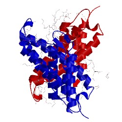 Image of CATH 4pop