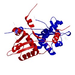 Image of CATH 4pql