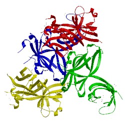 Image of CATH 4pqx