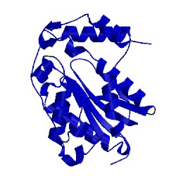 Image of CATH 4psd