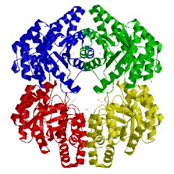 Image of CATH 4ptn