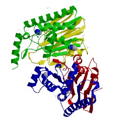 Image of CATH 4pv2