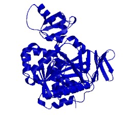 Image of CATH 4pzp