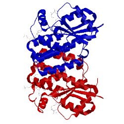 Image of CATH 4q18