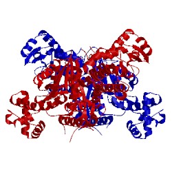 Image of CATH 4q2x