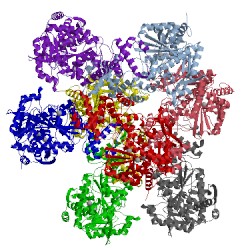 Image of CATH 4q86