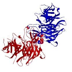 Image of CATH 4q9t