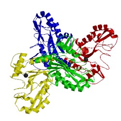 Image of CATH 4qca