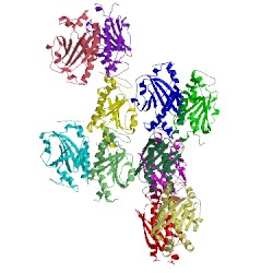 Image of CATH 4qrm
