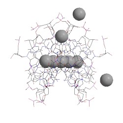 Image of CATH 4r47