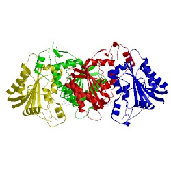 Image of CATH 4r81