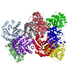Image of CATH 4rc1