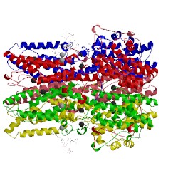 Image of CATH 4rdq