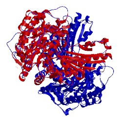 Image of CATH 4rf9