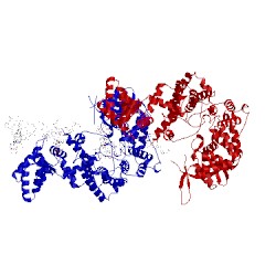 Image of CATH 4ric