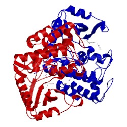 Image of CATH 4rmz