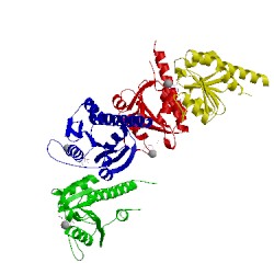 Image of CATH 4rv7