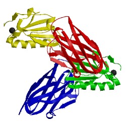 Image of CATH 4s10