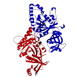 Image of CATH 4tmt