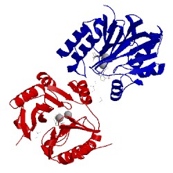 Image of CATH 4ua4