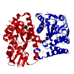 Image of CATH 4uab