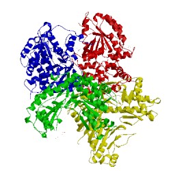 Image of CATH 4up2