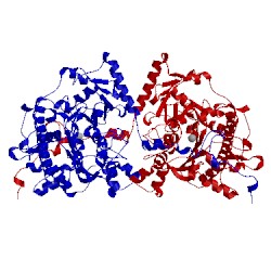 Image of CATH 4upl