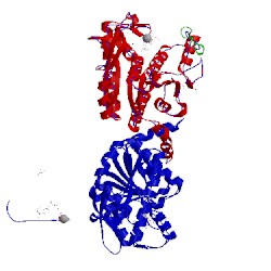 Image of CATH 4usj