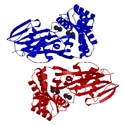 Image of CATH 4ut4