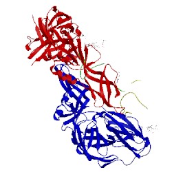 Image of CATH 4ut6