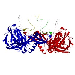 Image of CATH 4utb