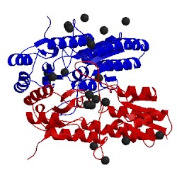 Image of CATH 4utp