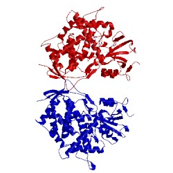 Image of CATH 4uyl