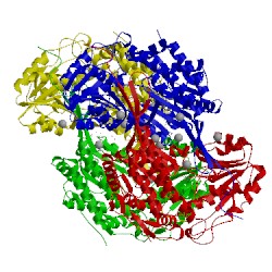 Image of CATH 4v3f