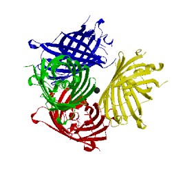 Image of CATH 4w7a