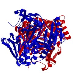 Image of CATH 4wct