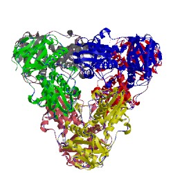 Image of CATH 4whx