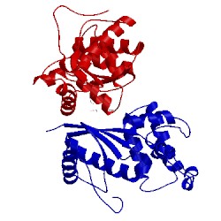 Image of CATH 4wkw