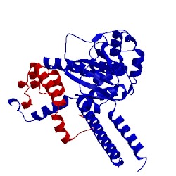 Image of CATH 4wlq