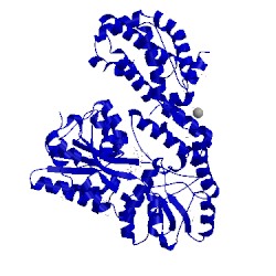 Image of CATH 4wms