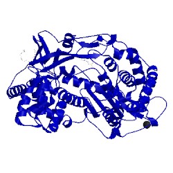 Image of CATH 4wt9