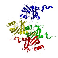 Image of CATH 4wuj