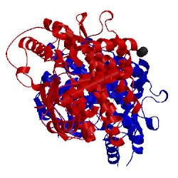 Image of CATH 4wvb