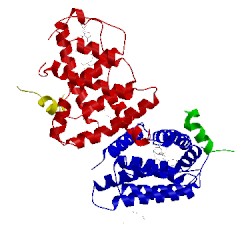 Image of CATH 4wvd