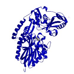 Image of CATH 4wwl