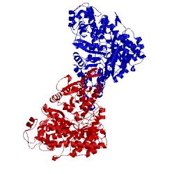 Image of CATH 4x3v