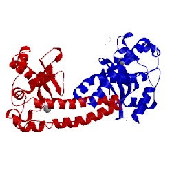 Image of CATH 4x9q