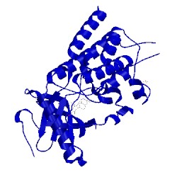 Image of CATH 4xcu