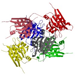 Image of CATH 4xcw